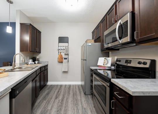 our apartments have a modern kitchen with stainless steel appliances