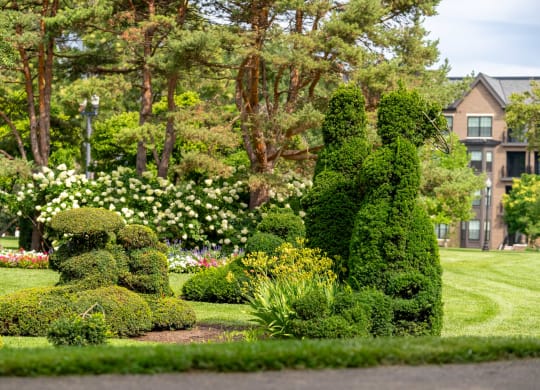 a garden with shrubs and trees in front of a building
