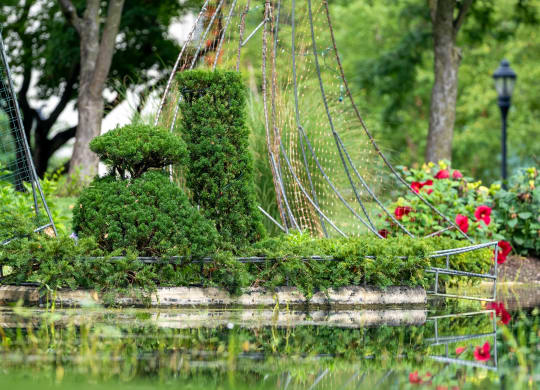 a garden with a bridge over a body of water
