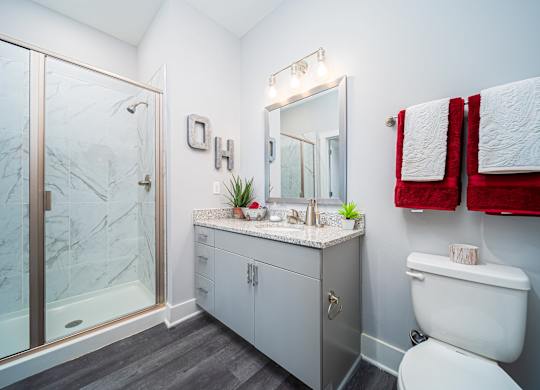 a bathroom with a shower and a sink and a toilet