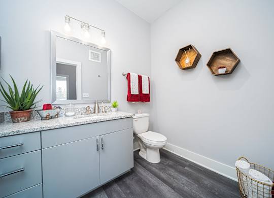 a bathroom with a sink and a toilet and a mirror