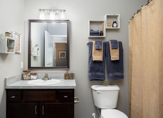 a bathroom with a toilet sink and mirror and towel racks