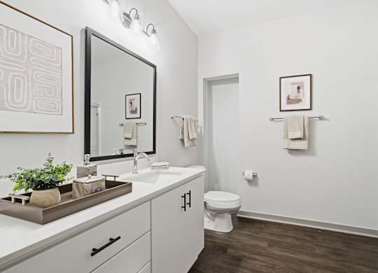 A bathroom with a toilet, sink, and mirror.