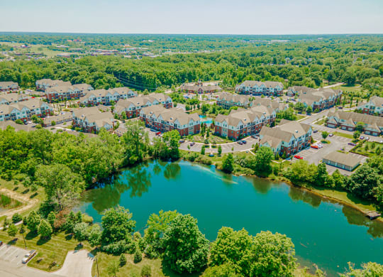an aerial view of a community with a body of water