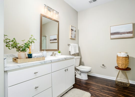 a bathroom with a toilet and a sink and a mirror
