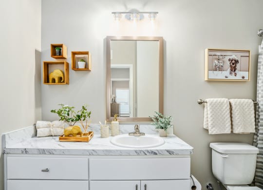 a white bathroom with a sink and a mirror