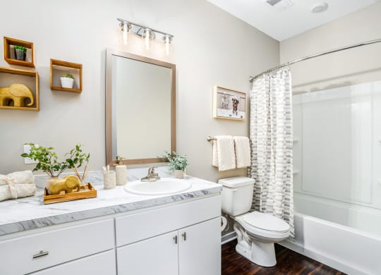 a bathroom with a shower toilet and sink and a mirror