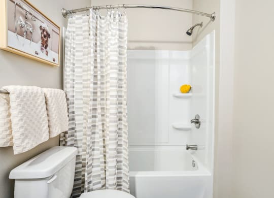 a bathroom with a shower curtain and a toilet and a sink