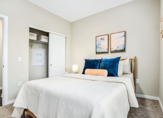 a bedroom with a bed and a closet