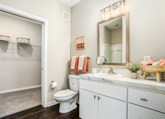 a bathroom with a toilet sink and shower and a mirror