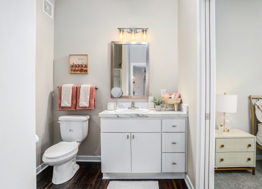 a bathroom with a toilet and a sink and a mirror