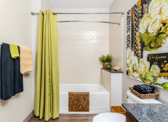 a bathroom with a shower curtain and a tub and a sink