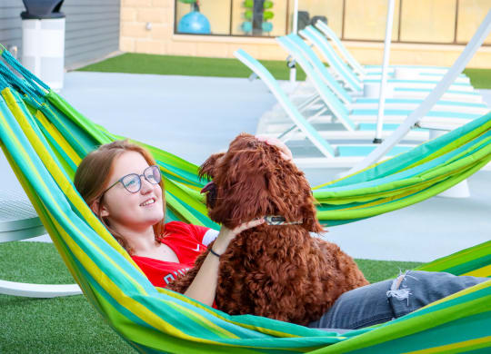 Hammock