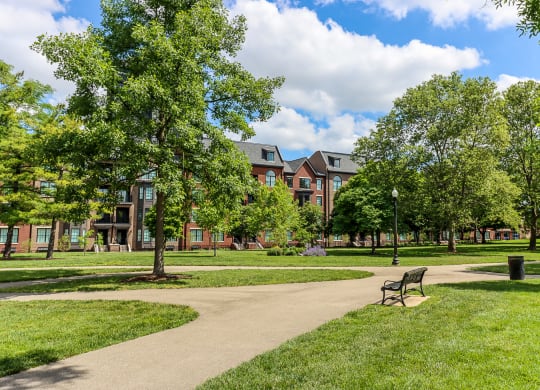 a park with a bench and trees