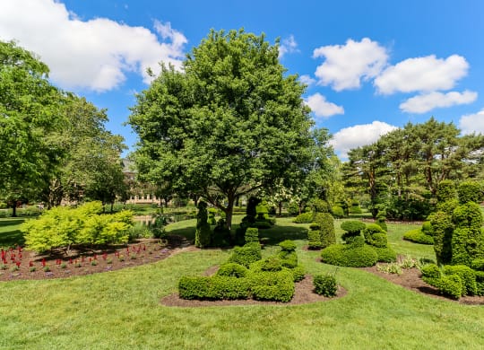 a park with trees and shrubs on a sunny day