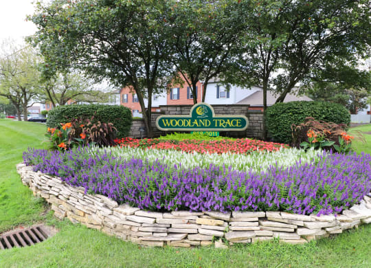 Woodland Trace Sign