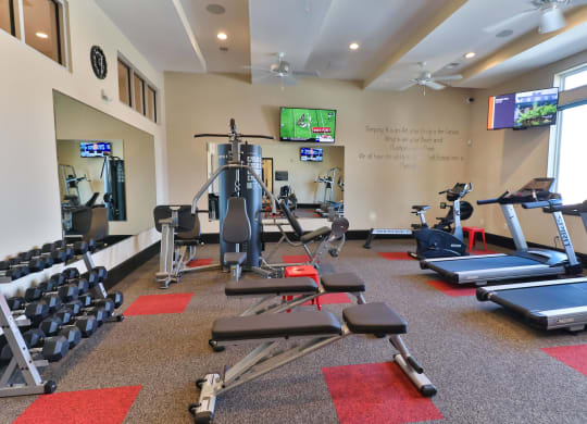 a gym with weights and cardio equipment and a tv
