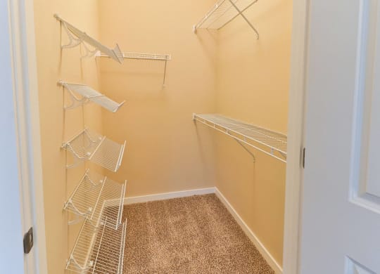 an empty closet with three hanging racks in a closet with a door