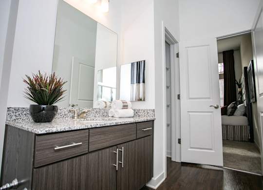 A bathroom with a large mirror and a plant on the counter.
