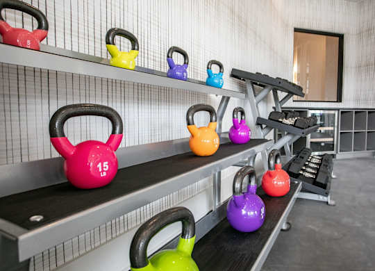 A set of kettlebells are lined up on a rack in a gym.
