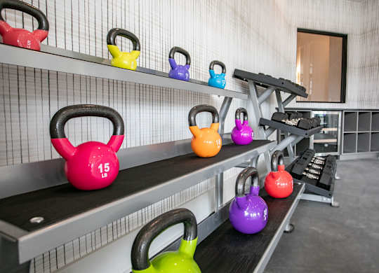 A set of kettlebells are lined up on a rack in a gym.