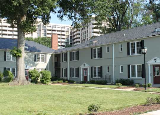 a large white house with a large tree in front of it