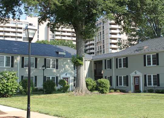 a house with a tree in front of it next to a street light