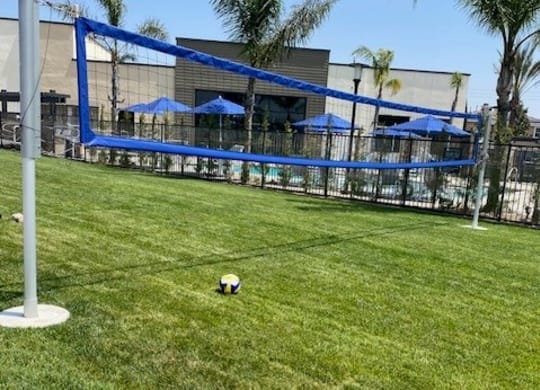 a soccer ball in the grass in front of a buildingat Westbury Apartments, Rancho Cucamonga, 91739