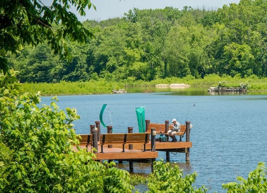 a dock on a lake with a man sitting on a bench at The Metropolitan Downtown Columbia, Columbia, Maryland