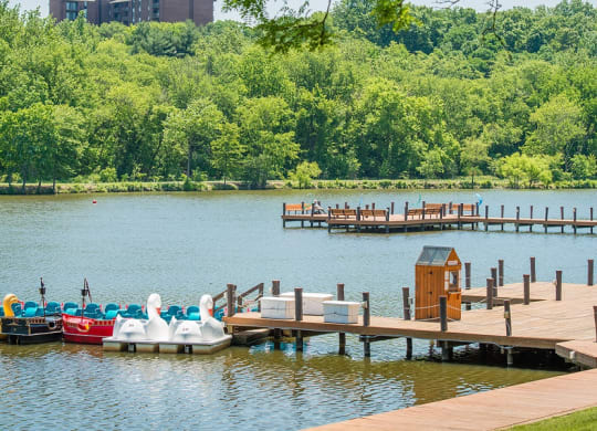 a dock with boats on the water at a lake at The Metropolitan Downtown Columbia, Columbia, 21044