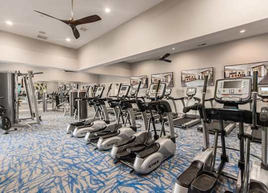 A gym with a row of treadmilers and elliptical machines.