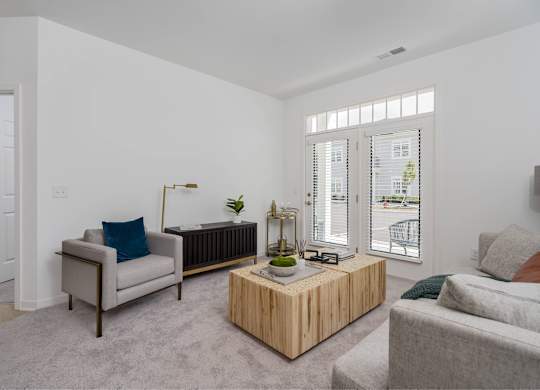 A living room with a grey couch, a wooden coffee table, and a grey rug.