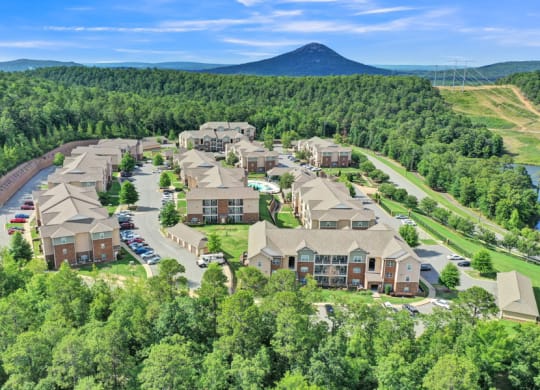 arial view of a subdivision of houses with a mountain in the background