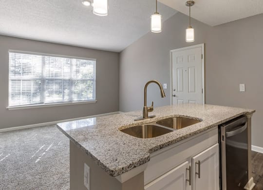 Aspen 1x1 629 kitchen B