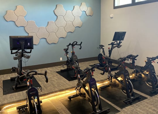 cycle studio
