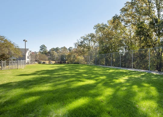 Ridgeland Dog Park