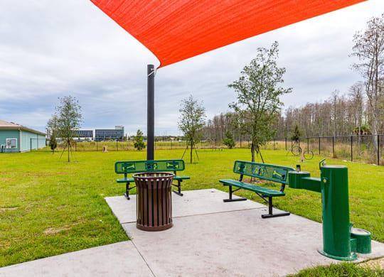 dog park