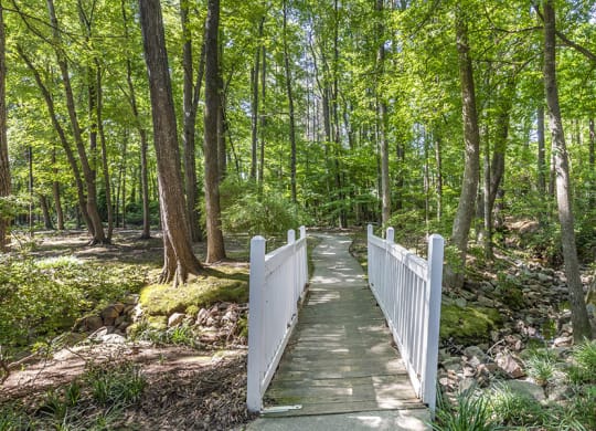 Harbison Walking Trail Access
