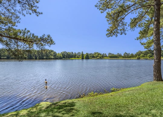 lake
