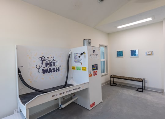 pet wash