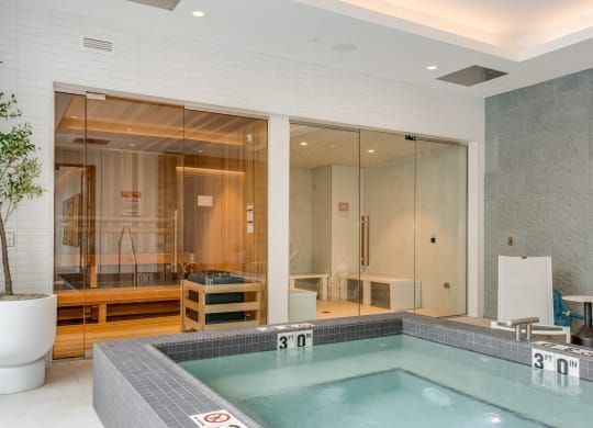 Jacuzzi and Spa at Cassidy on Canal, Chicago, Illinois