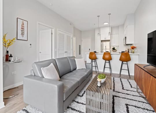 Living Room With TV at 23rd Place Apartment, Illinois, 60654