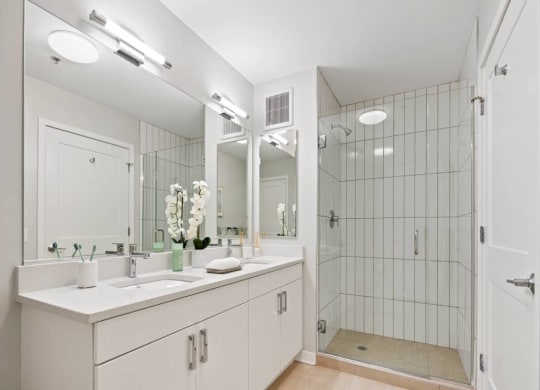 Luxurious Bathroom at 23rd Place Apartment, Chicago, IL, 60654