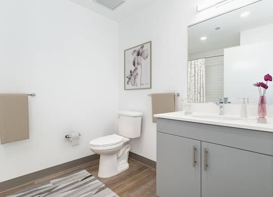 A white toilet sits in a bathroom with a grey cabinet and a framed picture on the wall.
