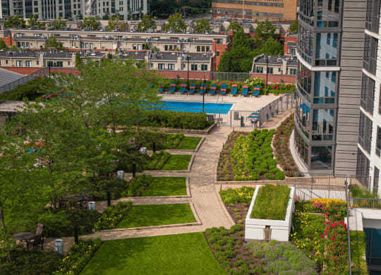 Elevated garden space at Kingsbury Plaza, Chicago