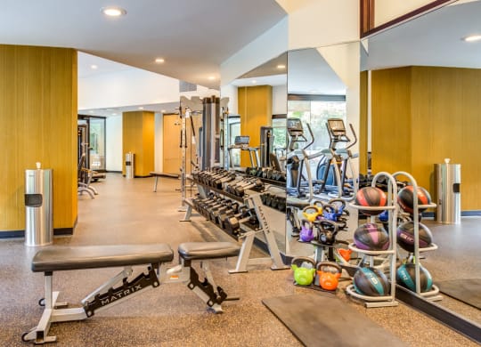 Fitness Center With Modern Equipment at Asbury Plaza, Chicago