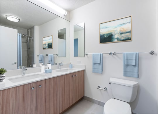 Updated Bathrooms at Kingsbury Plaza, Chicago, IL, 60654