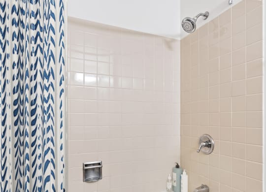 Soaking Tubs With Ceramic Tile at Asbury Plaza, Chicago, IL, 60654