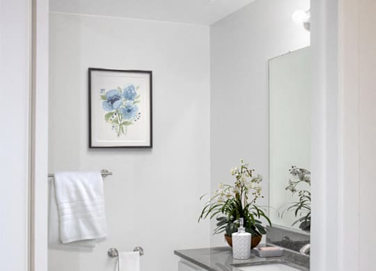 townhouse bathroom at The Village of Hyde Park, Detroit, Michigan