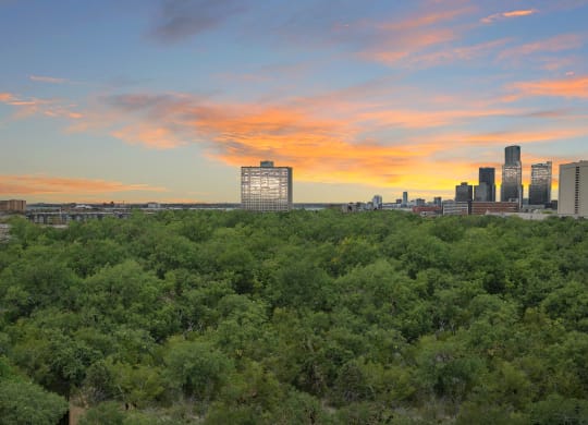 a view of the downtown austin skyline at sunset with trees in the foreground at The Pavilion, Michigan, 48207